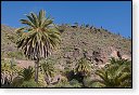gran canaria spanje Degollada de las Yeguas eiland canarische Eilanden las palmas maspalomas puerto de mogan strand Fuente de Los Azulejos Aguimes la Aldea las nieves tenerife teror